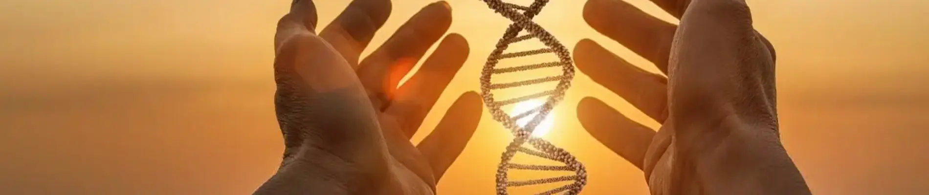 How DNA Makes Us Who We Are