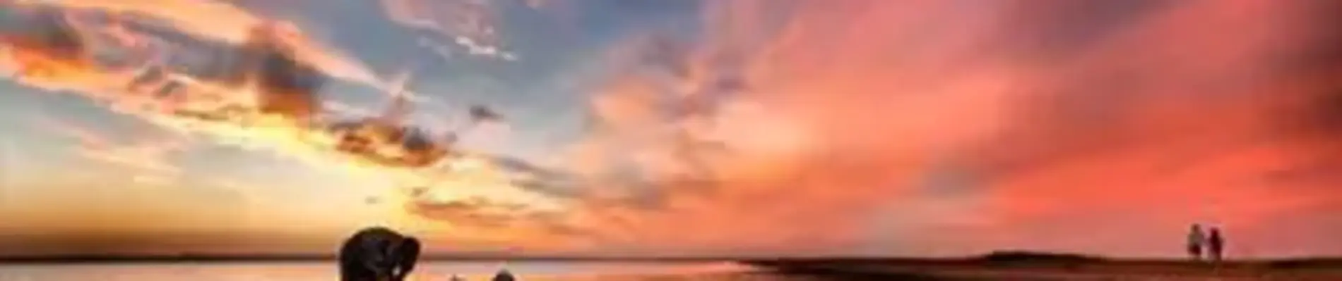 Science vs. Religion