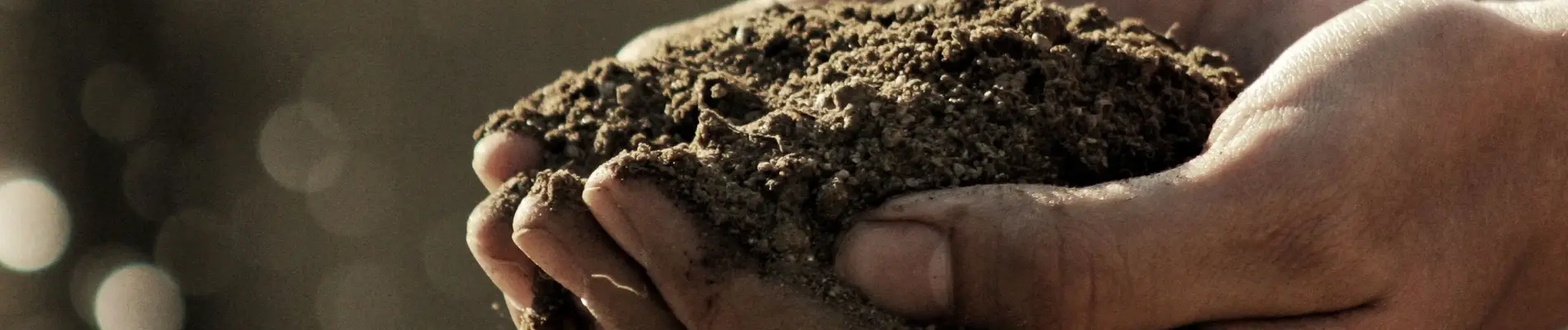 The History of Privatization