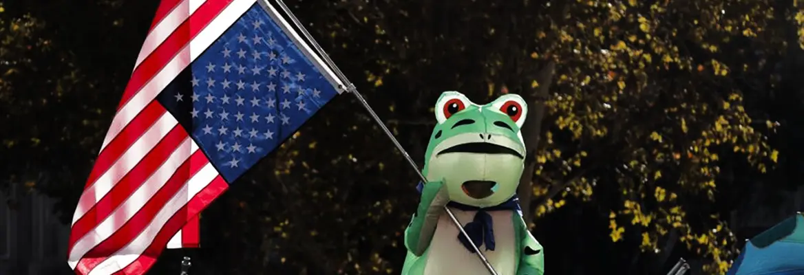 A frog-suited participant at the No Kings protest, 18th October 2025. Credit: Carlin Stiehl/The Los Angeles Times