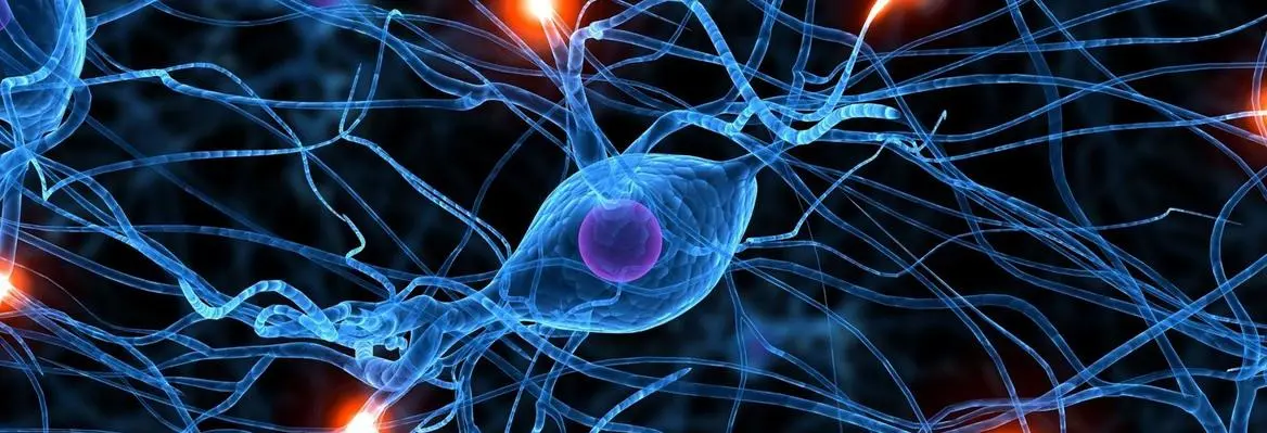An abstract illustration of neurons with glowing connections, depicting synapses and neural pathways in a vibrant blue and orange color scheme.