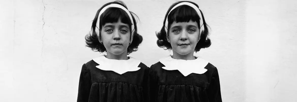 Identical Twins, Roselle, New Jersey, 1967, by Diane Arbus.