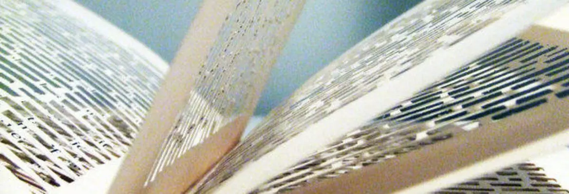 An open book with intricately cut pages, showcasing detailed patterns and textures created by the cutouts in the paper.