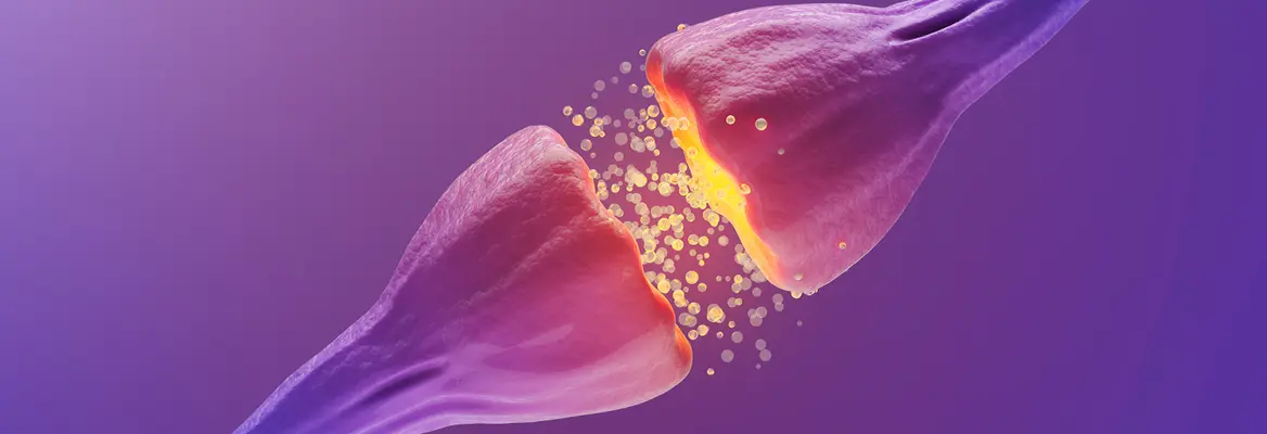 studies on animal minds suggest consciousness is not computation