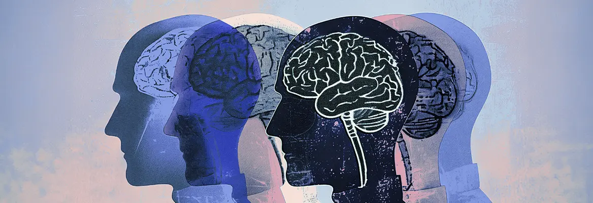 the brain forgets in order to improve your memory