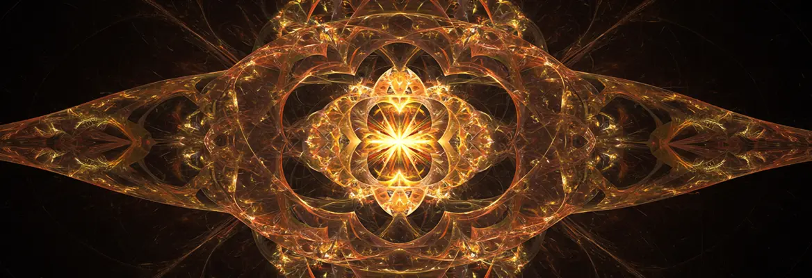 the delusion of a particle only universe