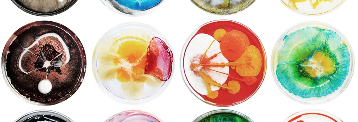the divide between art and science