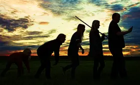 human evolution 3801547