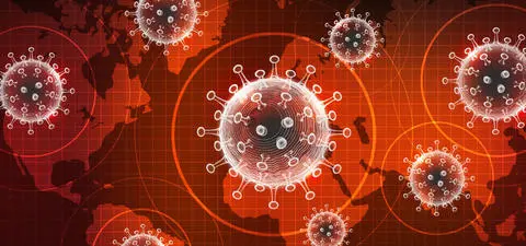 The perils of knowledge in a pandemic