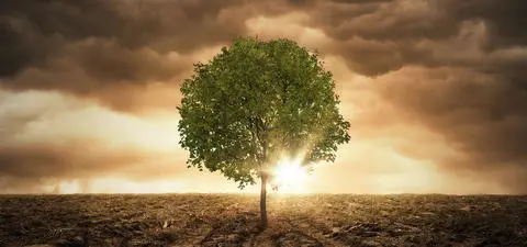 The silver linings of economic collapse