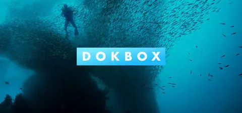 Underwater scene featuring a diver swimming among a large school of fish, with the word 