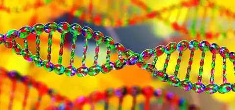 Parenting myths and the DNA revolution