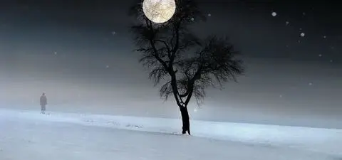 A solitary tree stands in a snowy landscape under a bright full moon, with a distant figure walking in the foggy backdrop.