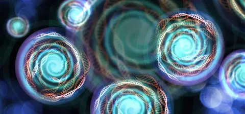 The seduction of the multiverse