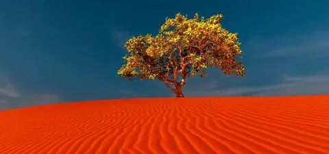 The fantasy of sustainability