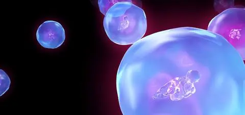 The origin of consciousness