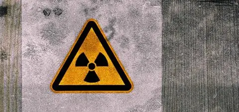 9/11, Al Qaeda and the nuclear terror threat 