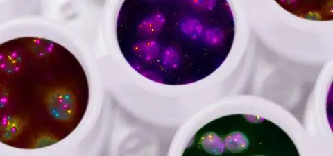 The myth of value-free science