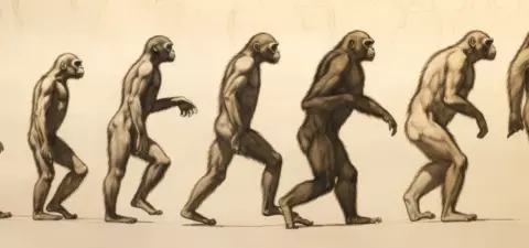 The lie of Ape to Angel