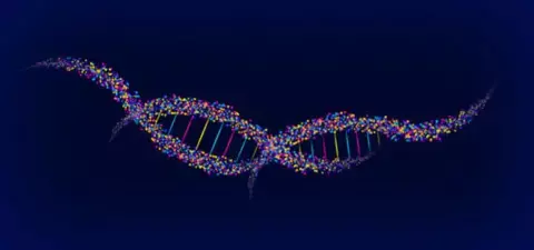 Beyond The Selfish Gene