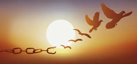 The bogus mysteries of consciousness