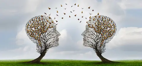Don’t worry about the hard problem of consciousness