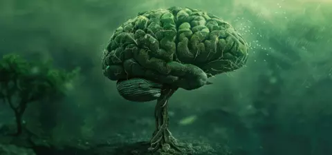 The chemical roots of consciousness
