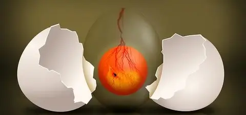 A stylized image of a cracked egg revealing a glowing, orange sphere with dark, branching lines inside, set against a muted background.