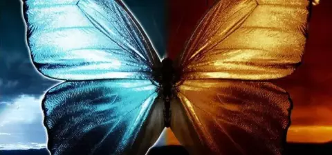 A digitally created butterfly with one wing in blue and the other in orange, set against contrasting dark skies and a fiery backdrop.