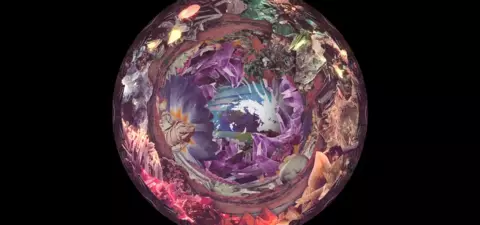 A surreal, colorful spiral design featuring various natural elements like plants, flowers, and shells, creating an abstract, harmonious composition.
