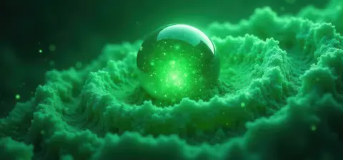 There are no particles or fields only structure