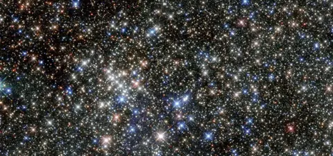 Coding the Universe