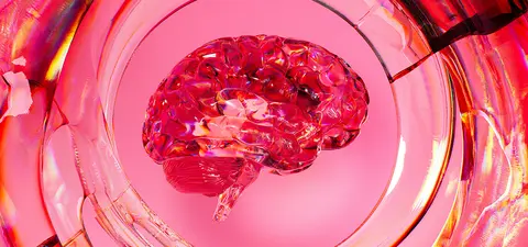 Neuroscience needs a new paradigm: The brain is not a machine