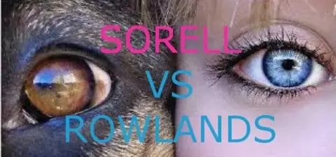 Sorell vs Rowlands: Morality Beyond Humanity - I