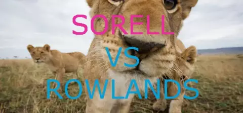 Sorell vs Rowlands: Morality Beyond Humanity - part 3