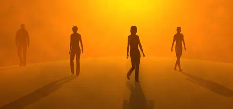 The Evolution of Reality