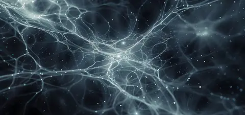 A universe without dark matter