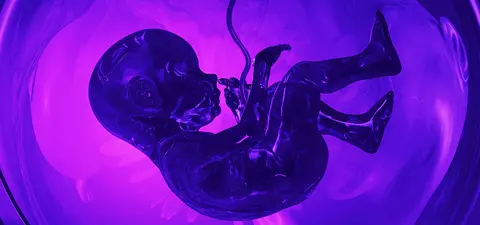 artificial birth will change what it means to be human