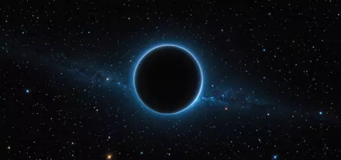 New theory of black holes solves problem of dar...
