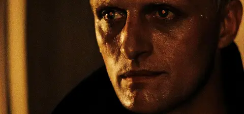 blade runner gnosticism and the more than human