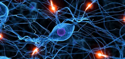A close-up illustration of neurons, showcasing interconnected nerve cells with glowing synapses, representing neural activity in a vibrant blue and orange color scheme.
