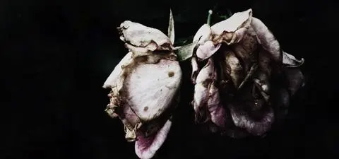 Living On When Love Dies