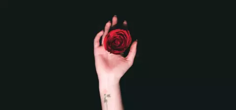 A hand delicately holds a vibrant red rose against a dark background, showcasing the contrast between the flower and the hand's pale skin.