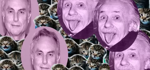 A collage featuring multiple images of a man making a funny face against a background of playful kittens.