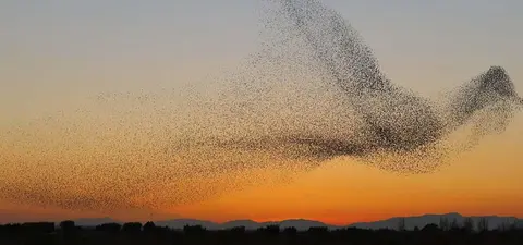 emergence explains nothing and is bad science