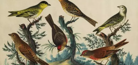 There's more to evolution than natural selection