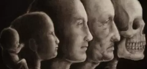 How Childbirth Became Philosophy's Last Taboo