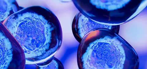 lifes uncertainty principle