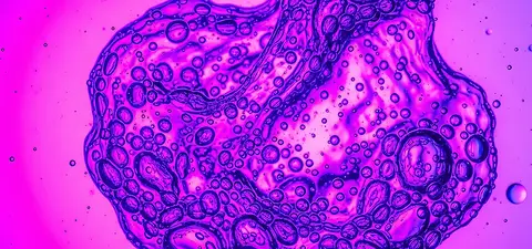 new studies suggest unique state of matter gives rise to living organisms