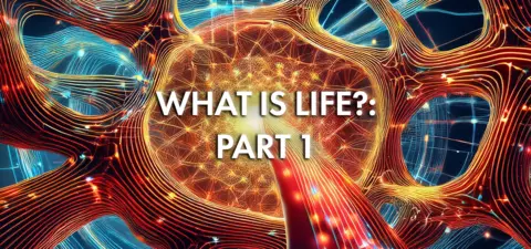 Patterns are alive, and we are living patterns